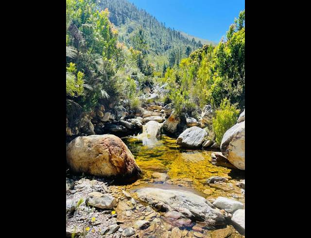 LAND FOR SALE IN TSITSIKAMMA